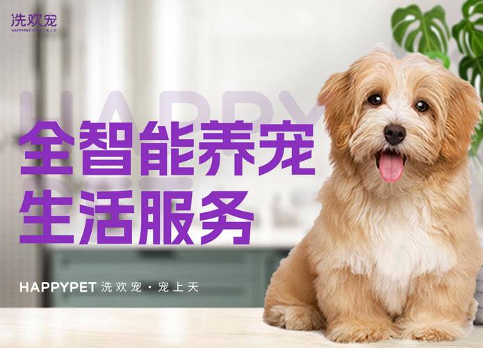 洗欢宠:宠物服务市场前景展望