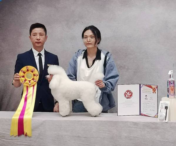 辨析宠物美容服务价格,哪家性价比高给你支招