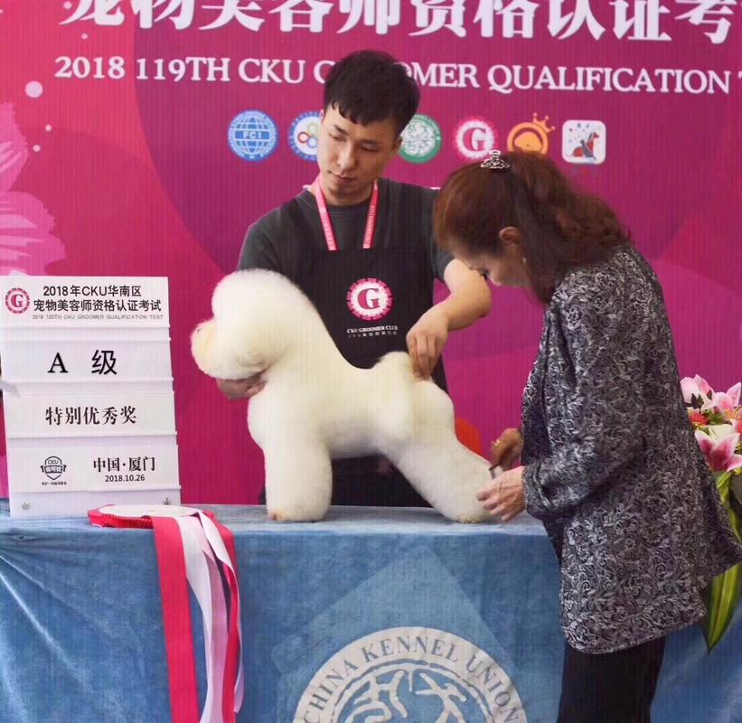 长沙宠物美容培训学校哪家服务好