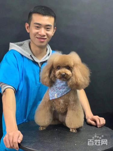 龙陵宠物 龙陵宠物服务/配种 龙陵宠物美容 1/12