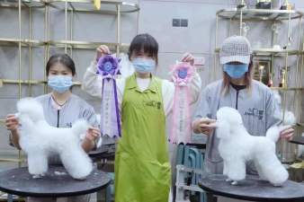 爱可宠物美容培训学校提供美容培训服务