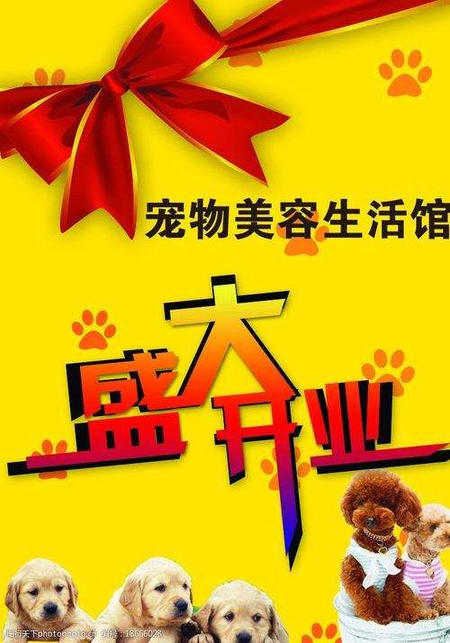 关键词:盛大开业 宠物美容 宣传单 宣传海报 生活馆 海报设计 广告